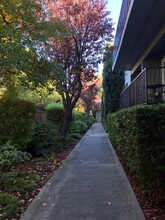 Merrilee Terrace Apartments in Palo Alto, CA - Building Photo - Building Photo