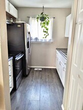 2209 Whitewood Dr in Colorado Springs, CO - Building Photo - Building Photo