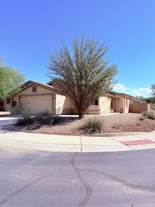11793 W Barley Dr in Marana, AZ - Building Photo