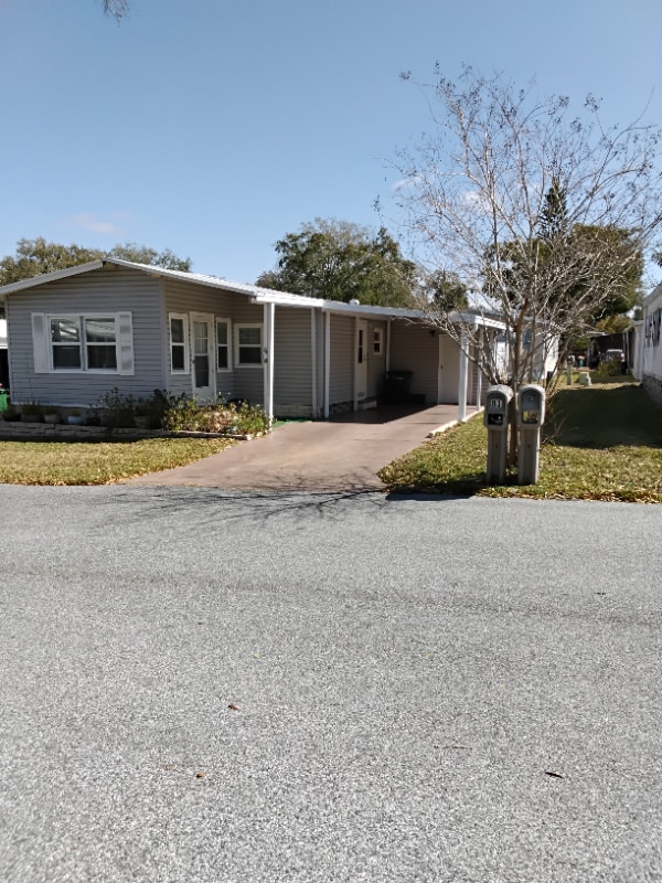 81 Jacaranda Dr in Safety Harbor, FL - Building Photo - Building Photo