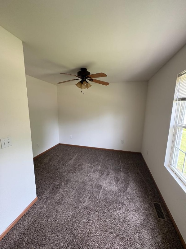 100 Aldergate St in Bonne Terre, MO - Building Photo - Building Photo