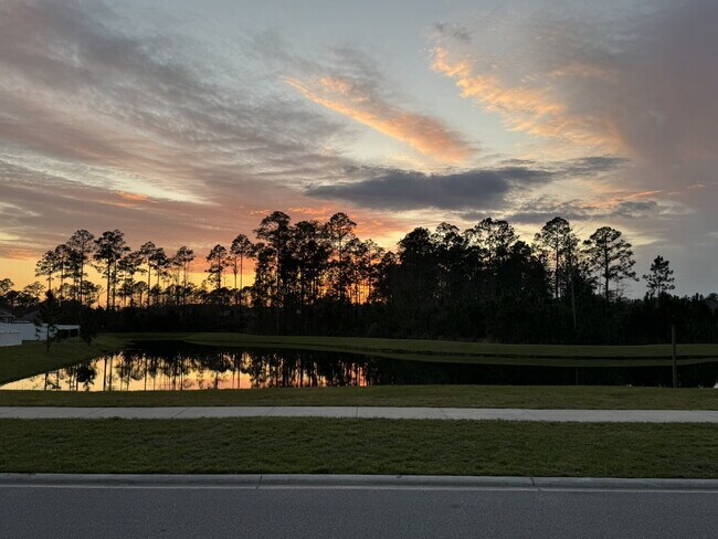 2518 Coneflower Ln in Green Cove Springs, FL - Foto de edificio - Building Photo