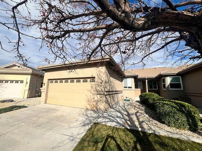 256 Cruden Bay Dr in Dayton, NV - Building Photo - Building Photo