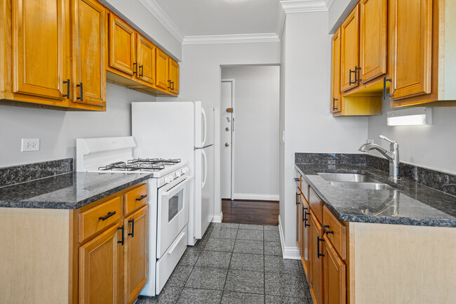 1060 W Hollywood Ave in Chicago, IL - Building Photo - Building Photo