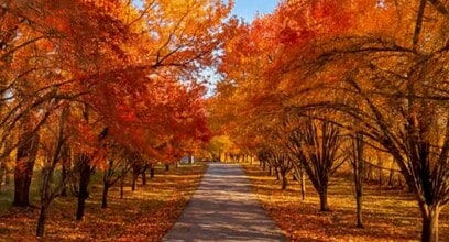 100 Knob Hl Cir in Afton, OK - Building Photo - Building Photo