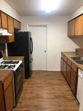 105 Nicole Cove in Round Rock, TX - Building Photo - Building Photo