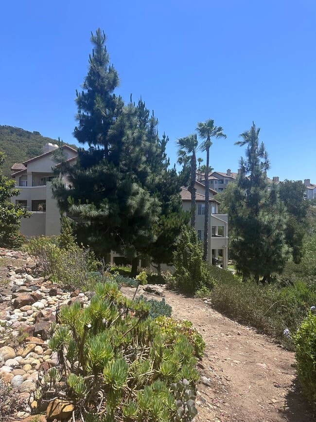 11355 Affinity Ct in San Diego, CA - Building Photo - Building Photo