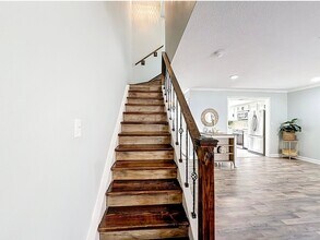 1655 58th Terrace S in St. Petersburg, FL - Building Photo - Building Photo