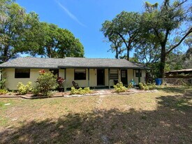 5223 Peach Ave in Seffner, FL - Building Photo