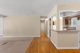 404 Dogwood Ln in Jacksonville, NC - Building Photo - Building Photo