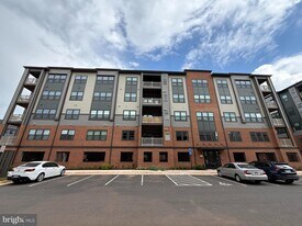 4395 Peach Lily Ln in Chantilly, VA - Building Photo
