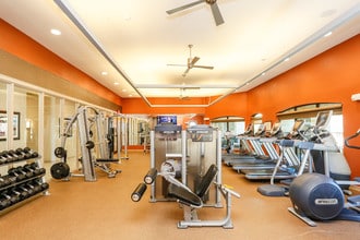 The Columns at Shadow Creek Ranch in Pearland, TX - Foto de edificio - Interior Photo