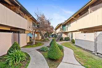 Millbrook Pines Apartment in Fresno, CA - Building Photo - Building Photo