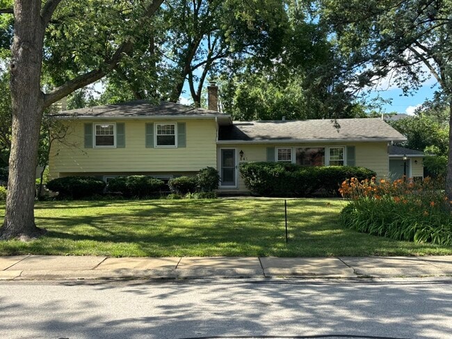 property at 541 Cypress Dr