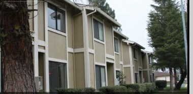 Pinewood Condominiums by Elevate