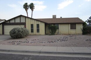 1509 W El Alba Way in Chandler, AZ - Building Photo