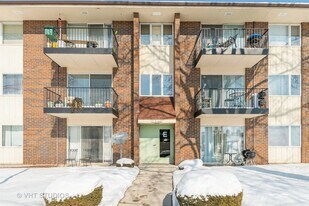 5S100 Pebblewood Ln in Naperville, IL - Building Photo