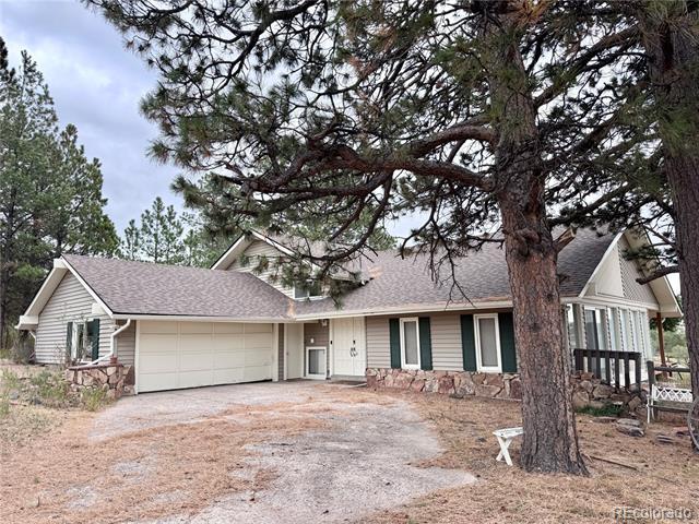 11218 Ponderosa Ln in Franktown, CO - Building Photo - Building Photo