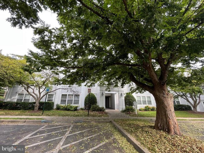 14104 Valleyfield Dr in Silver Spring, MD - Building Photo - Building Photo