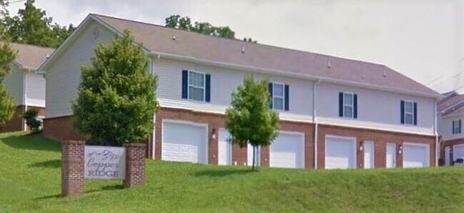 Quiet 1 Bed / 1 Bath in the country in Johnson City, TN - Building Photo - Building Photo