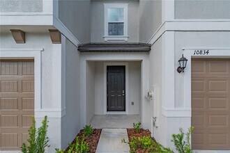 10834 Fowlers Blf Ct in Tampa, FL - Building Photo - Building Photo
