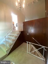 11602 Le Baron Terrace in Silver Spring, MD - Building Photo