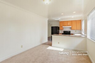 210 N Delaware St in San Mateo, CA - Building Photo