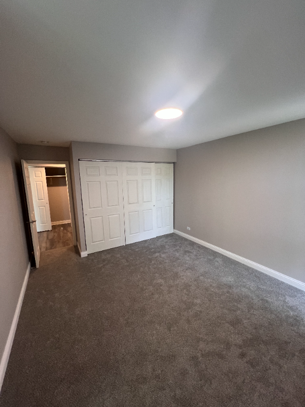 5550 Abbey Dr in Lisle, IL - Foto de edificio - Building Photo