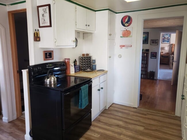 839 Steinfelt Pkwy in Fairplay, CO - Building Photo - Building Photo
