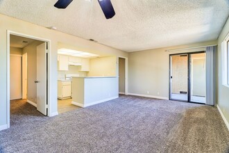 Cerro Vista Apartments in Riverside, CA - Building Photo - Building Photo