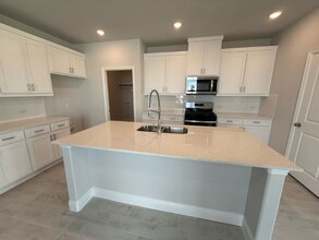 1009 Tartane Dr in Anna, TX - Building Photo - Building Photo