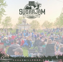 115 Gaunt Ln in Youngsville, LA - Foto de edificio - Building Photo