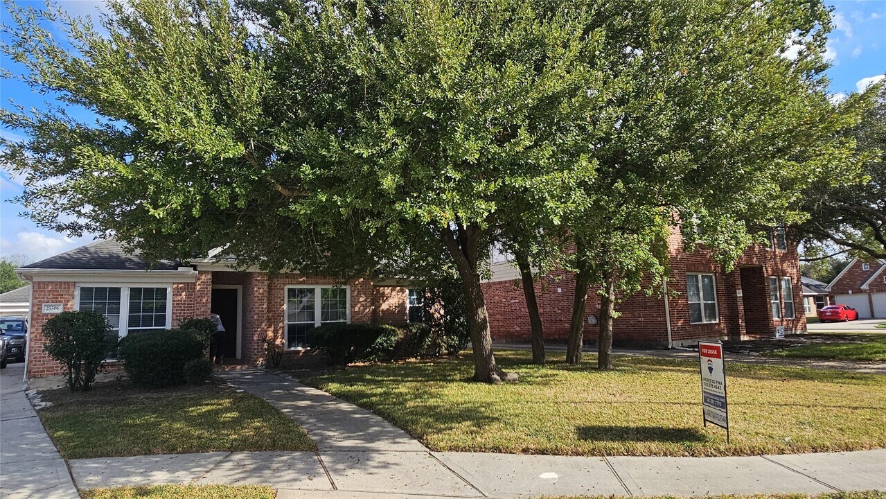 25506 Brisk Spring Ct in Spring, TX - Building Photo