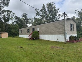 6901 Mangrove Dr in Wesley Chapel, FL - Building Photo