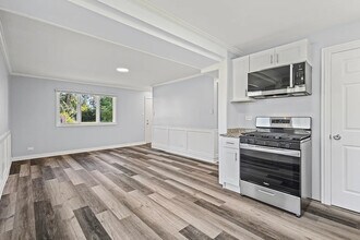 243 Arcadia St in Park Forest, IL - Foto de edificio - Building Photo