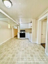 1105 York St in Denver, CO - Building Photo - Building Photo