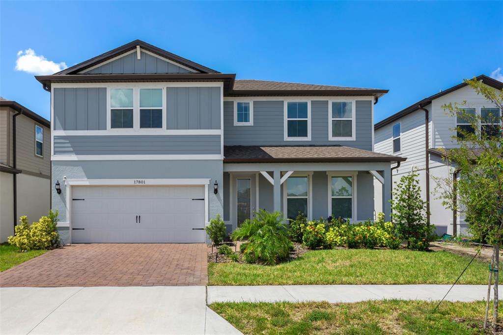 17801 Wind Chime Row in Land O Lakes, FL - Building Photo