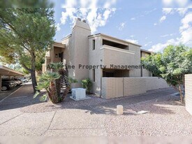 7950 E Starlight Way in Scottsdale, AZ - Building Photo
