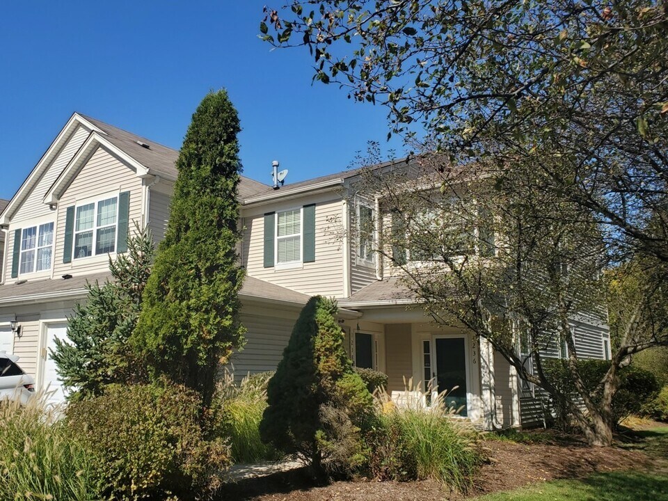 1236 Brookdale Dr in Carpentersville, IL - Building Photo