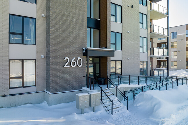 260 Nancy-Elliott St in Gatineau, QC - Building Photo - Building Photo