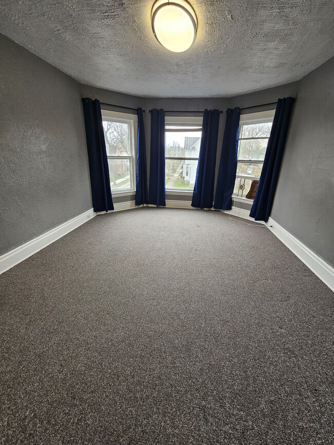 113 Packard Ave SE, Unit Apt 2 in Grand Rapids, MI - Building Photo - Building Photo