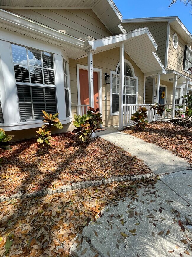 3079 Pointer Dr Rentals in Palm Harbor, FL