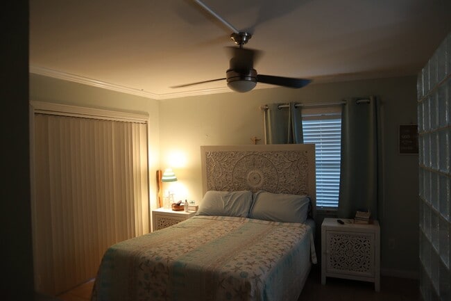 2587 Cyprus Dr in Palm Harbor, FL - Foto de edificio - Building Photo