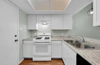 16009 Stoneham Cir in Pflugerville, TX - Building Photo - Building Photo