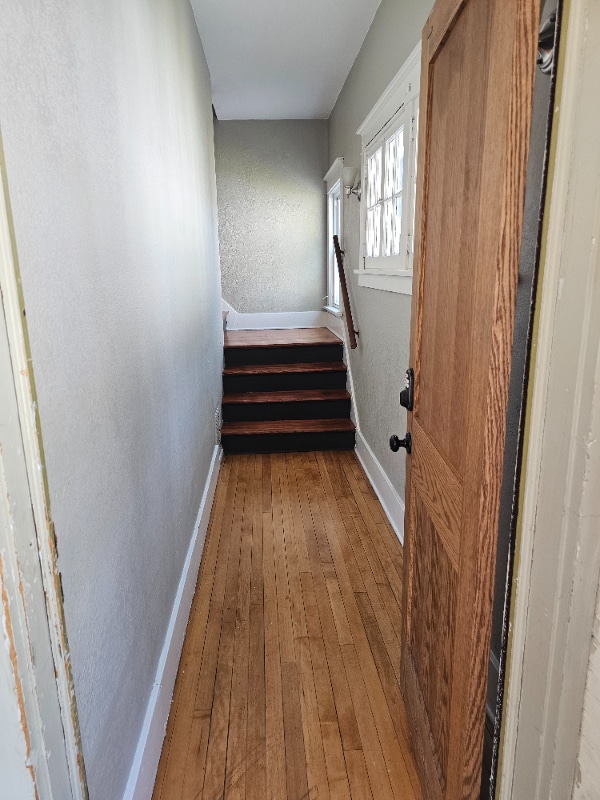 426 N 5th St in Mankato, MN - Building Photo - Building Photo