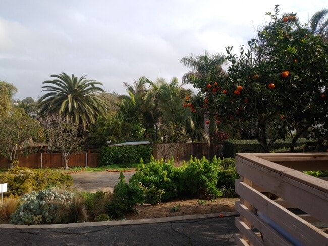 775 Neptune Ave, Unit 775A in Encinitas, CA - Building Photo - Building Photo
