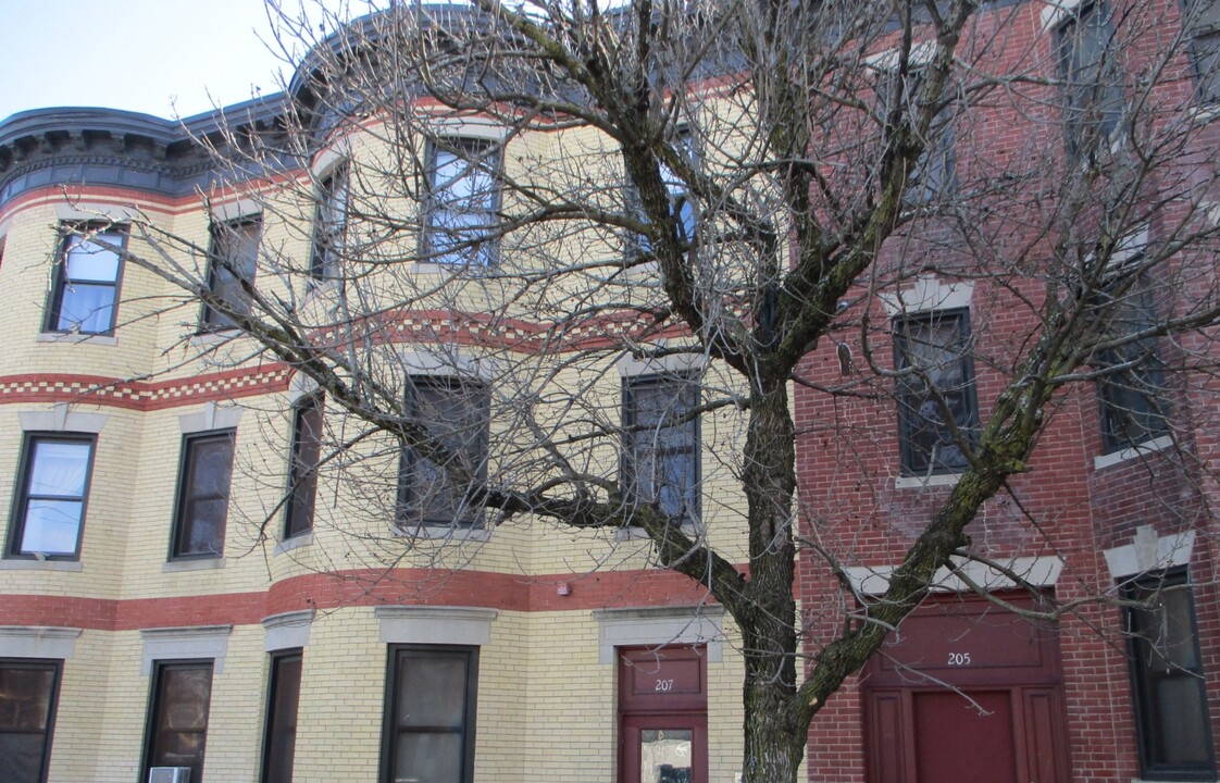 205-221 Chestnut St in Chelsea, MA - Foto de edificio