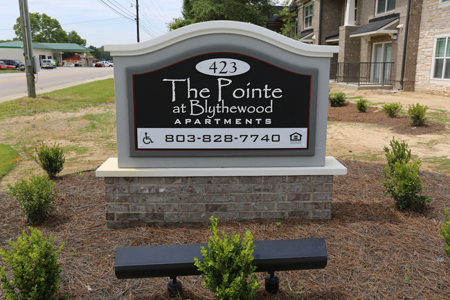 The Pointe at Blythewood in Blythewood, SC - Building Photo - Building Photo