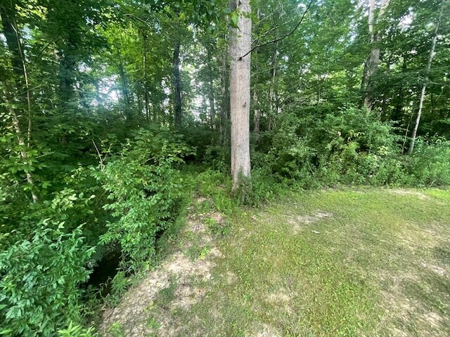 178 Elm St in Helenwood, TN - Building Photo - Building Photo
