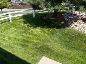 7416 Falconer View in Colorado Springs, CO - Building Photo - Building Photo
